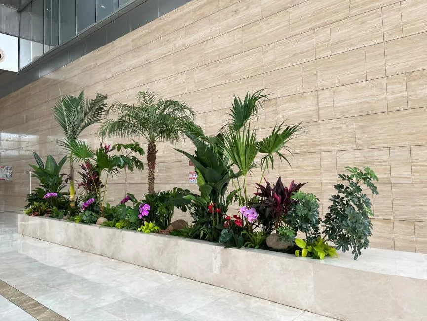 前湾绿植出租哪家好